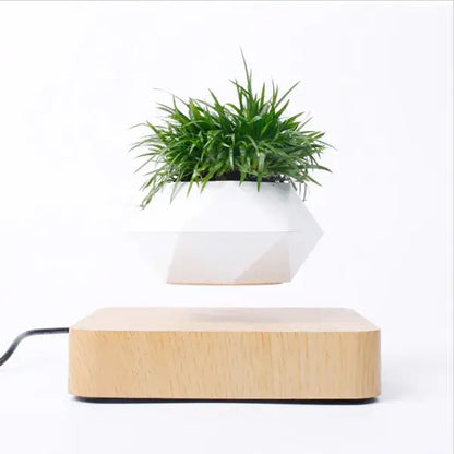 Magnetic Levitation Plant Pot