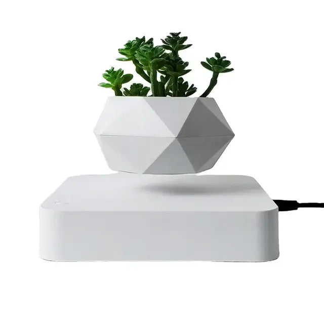 Magnetic Levitation Plant Pot