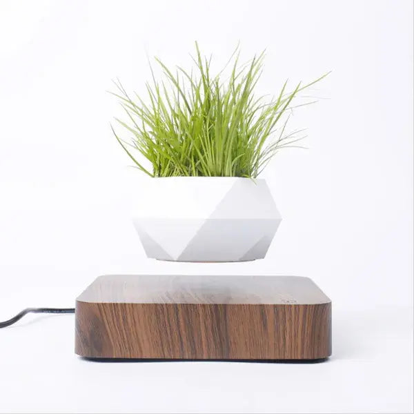 Magnetic Levitation Plant Pot