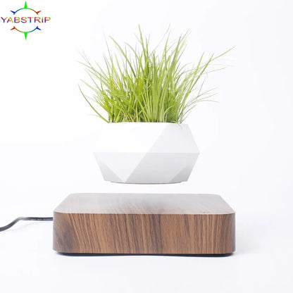 Magnetic Levitation Plant Pot